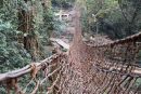 DSC_8088
